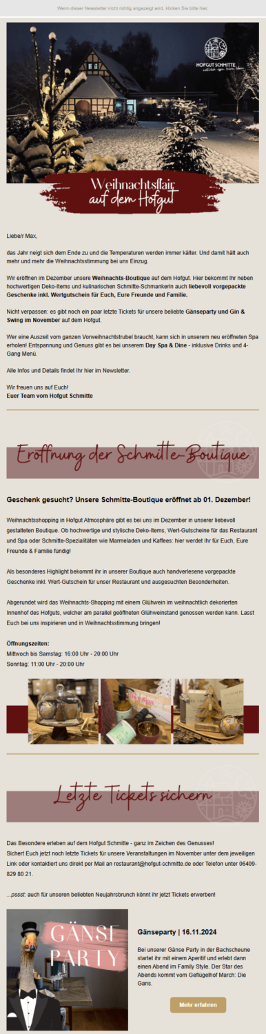 Weihnachts-Newsletter-Beispiel Hofgut Schmitte