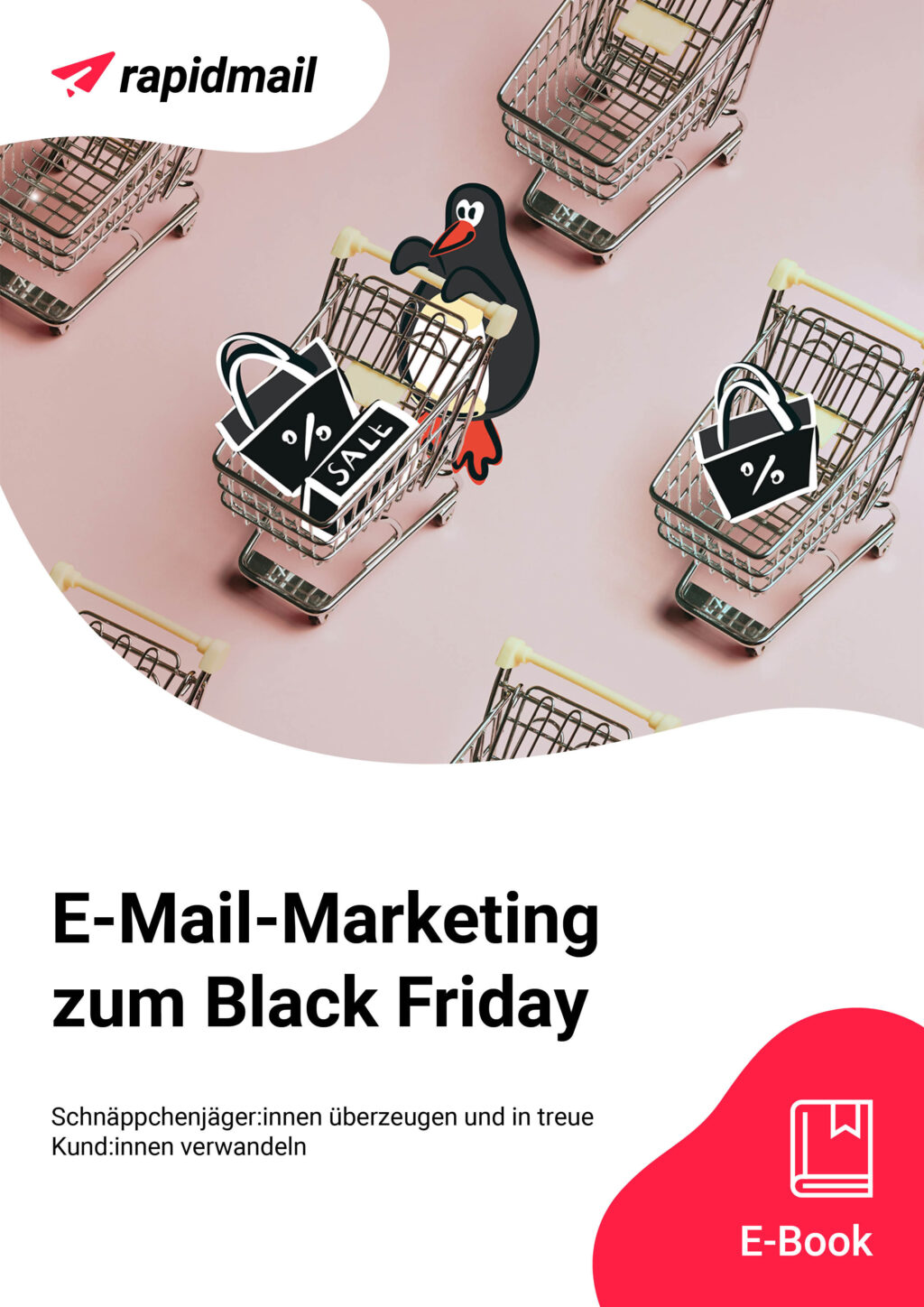 Black Friday E-Mail-Marketing E-Book